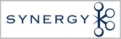 Synergy Investments Logo
