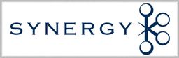 Synergy Investments
