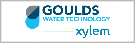 Xylem