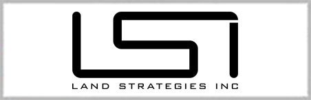 LSI Austin