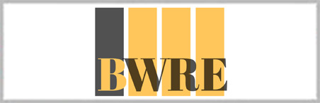 Black Women in Real Estate