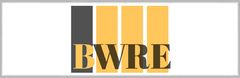Black Women in Real Estate Logo
