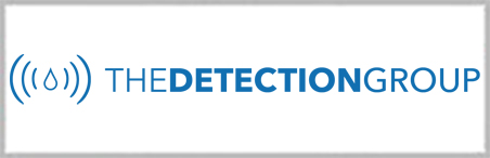 The Detection Group