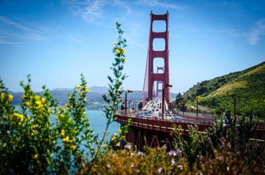 Bay Area Life Sciences & CRE