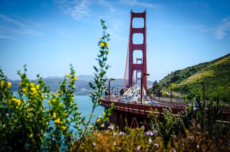 Bay Area Life Sciences & CRE