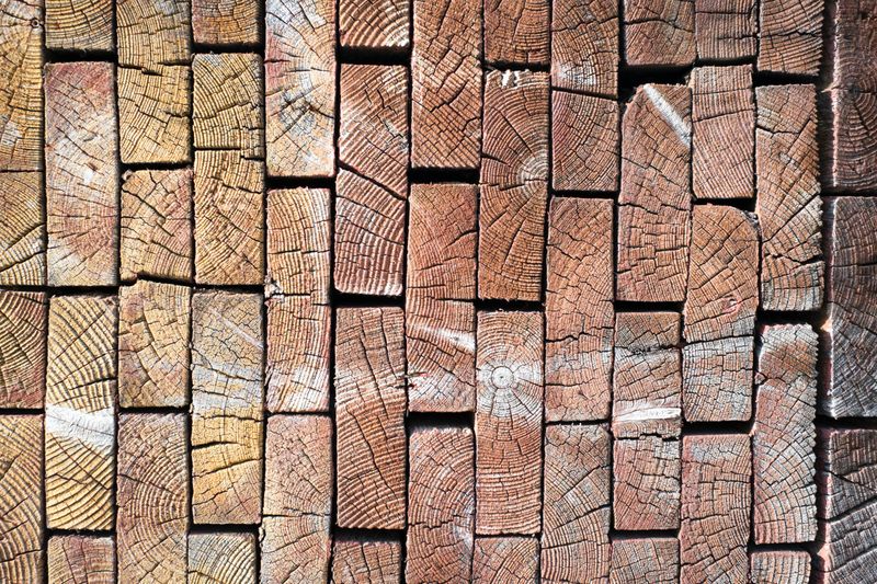 How Timber is Changing the Future of Design & Construction Across Asset Classes