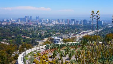 Los Angeles State of the Market