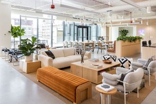 Spacious modern lounge area with plush sofas, a mustard bench, plants, books, and large windows overlooking city buildings.