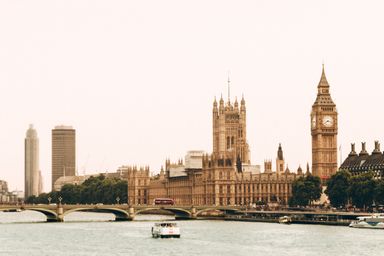 Government Response And Self-Preservation