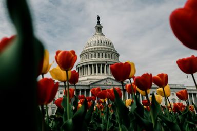 Unpacking the Federal Stimulus Package