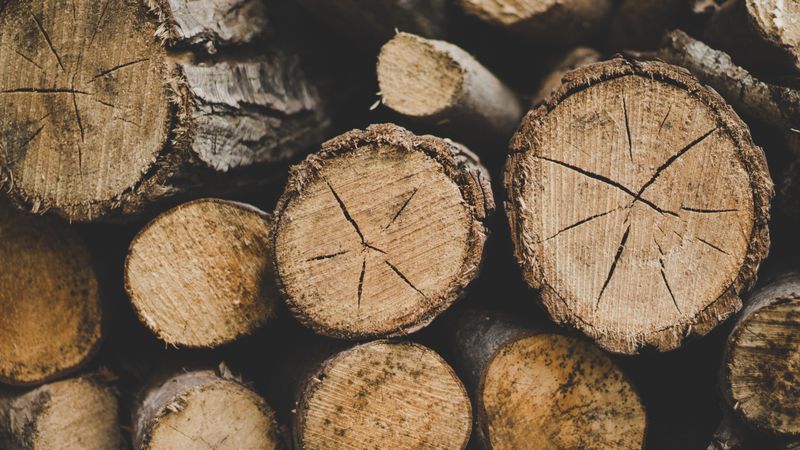 Mass Timber & CLT: Coming To California In 2021