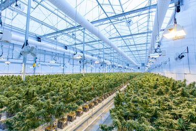 California Cannabis CRE Conference