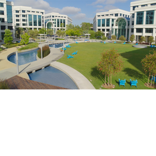 Water Garden