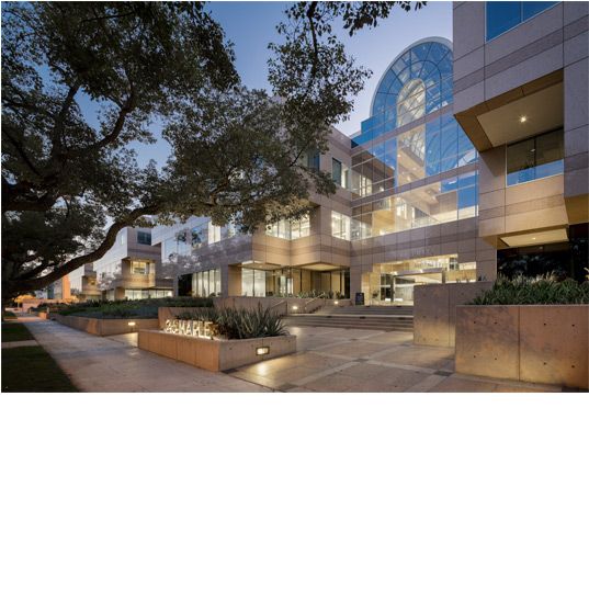 Maple Plaza