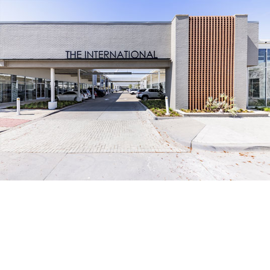 The International