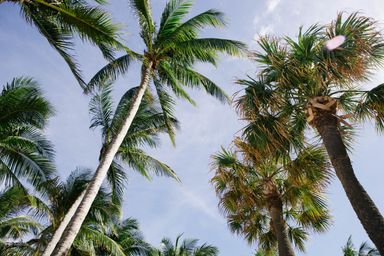 Future of Hollywood Florida CRE