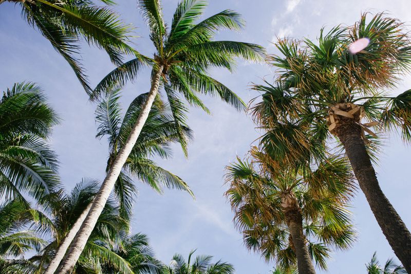 Future of Hollywood Florida CRE