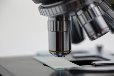 Shaping The Future of West Coast Life Sciences