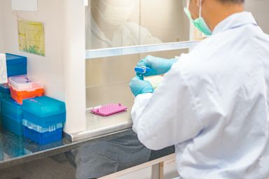 New York Life Sciences & Biotech Conference