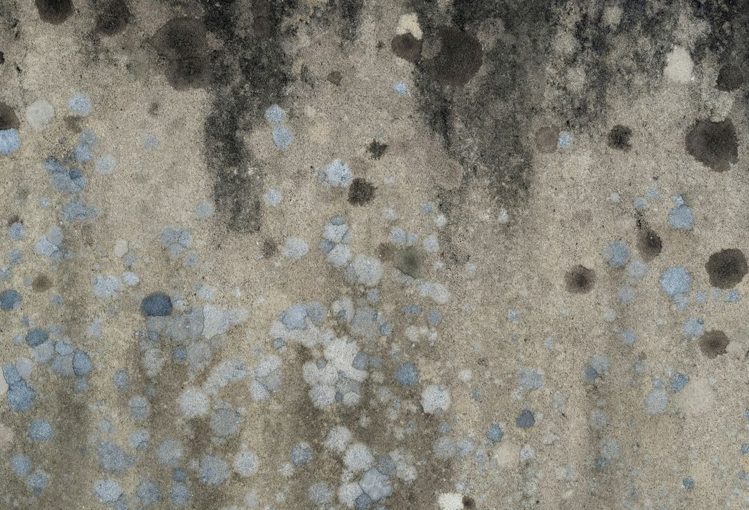 Mold Litigation Surge Leaves Multifamily Owners Facing Massive Liability Risks