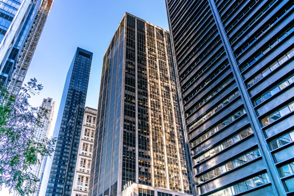 Tall skyscrapers with glass facades reflect the clear blue sky, with a few green tree branches visible on the left.
