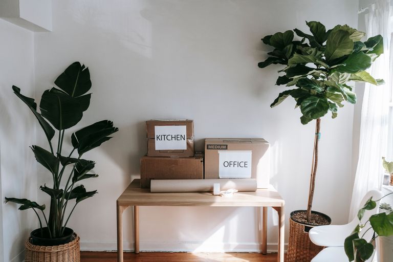 A wooden table with labeled moving boxes, "Kitchen" and "Office," flanked by potted plants in a brightly lit room.