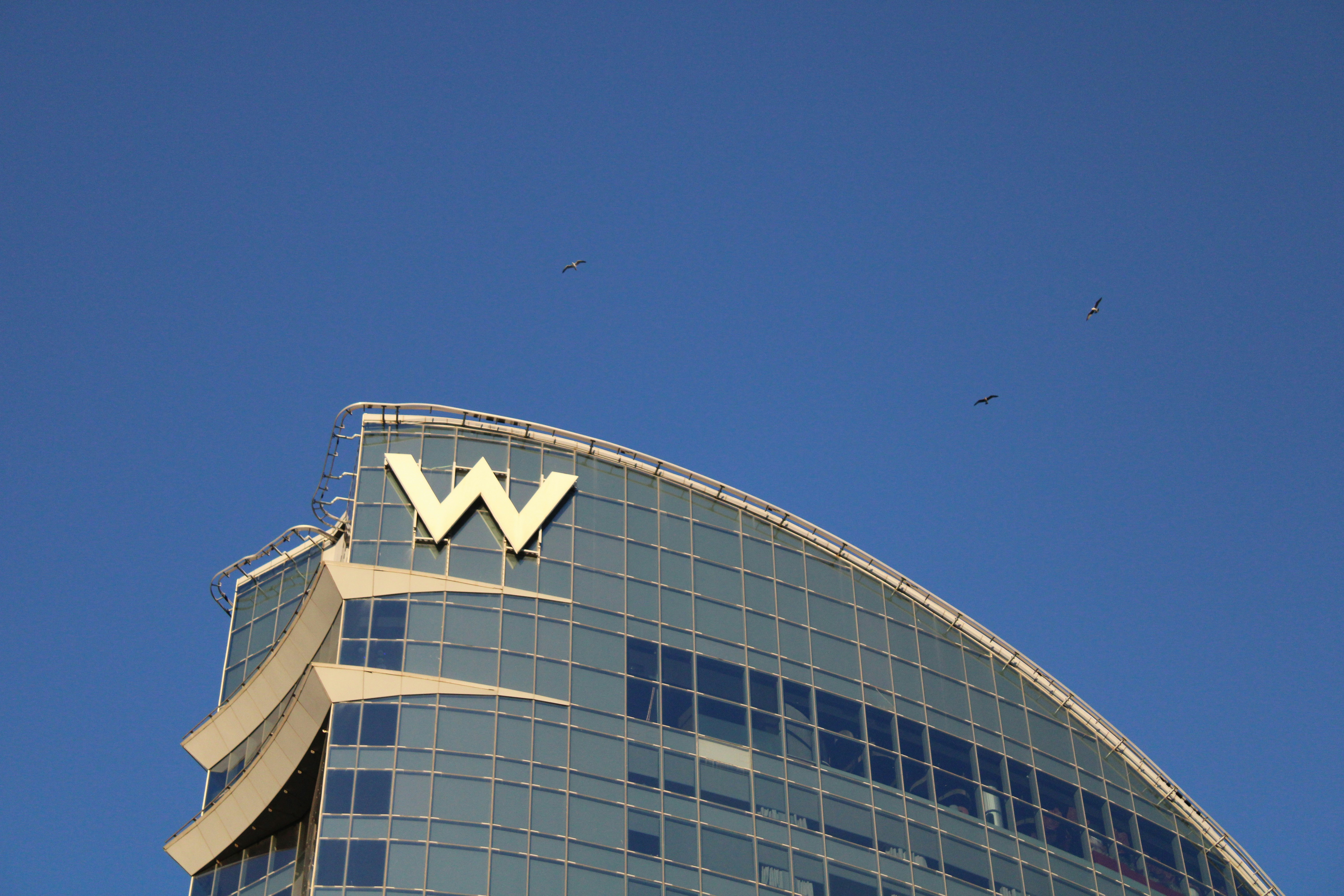 Glass skyscraper with a large white "W" on top, set against a clear blue sky, with a few birds flying nearby.