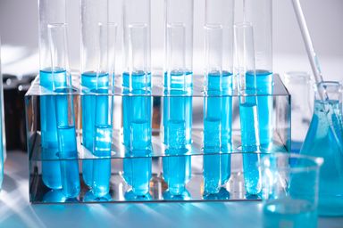 Bay Area Life Sciences