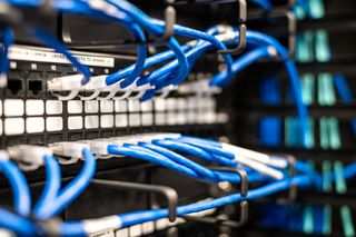 Close-up of a network server rack with multiple blue Ethernet cables