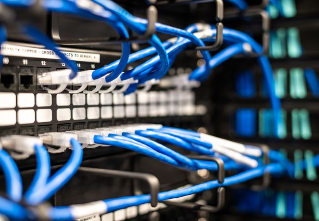 Close-up of a network server rack with multiple blue Ethernet cables