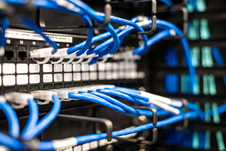 Close-up of a network server rack with multiple blue Ethernet cables