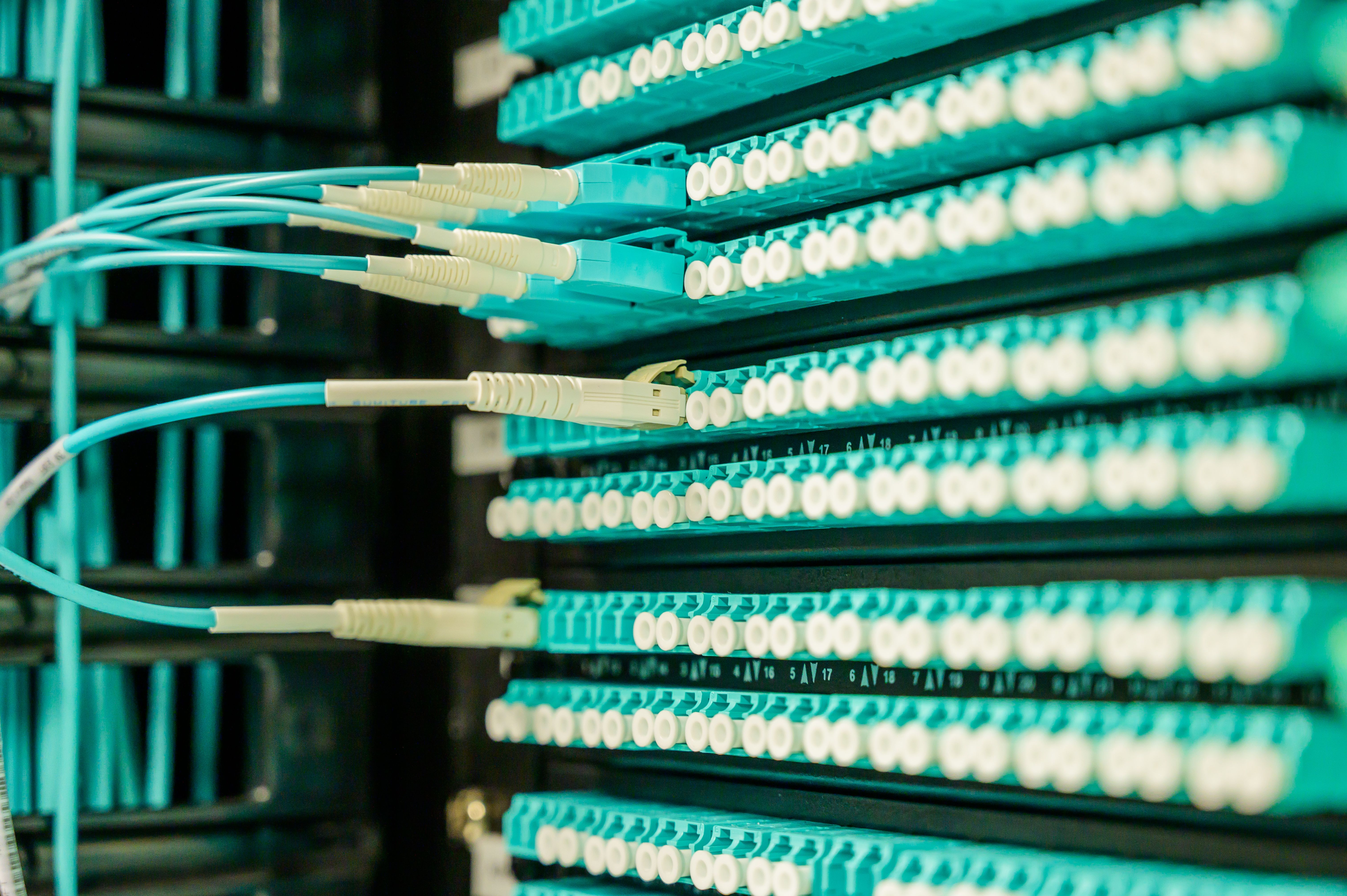 Rows of turquoise network cables plugged into a patch panel in a data center.