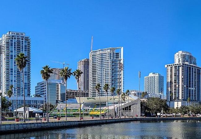 Ellison CEO Wants To Build 'Epicenter Of Innovation' In St. Pete's Gas Plant District