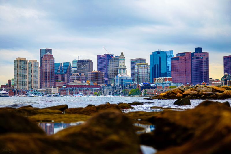 The CRE Investor's Guide