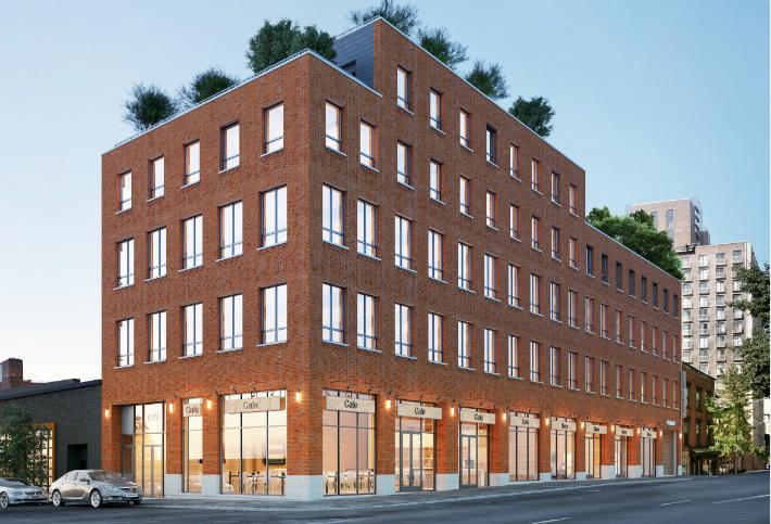 New York's First Timber Buildings In Over A Century Break Ground In Williamsburg