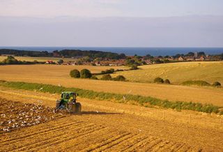 Norfolk Farmland 
