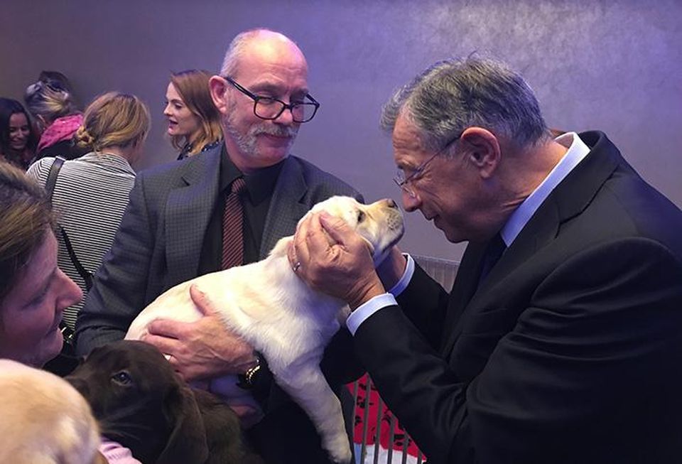 Sir George Iacobescu with a puppy