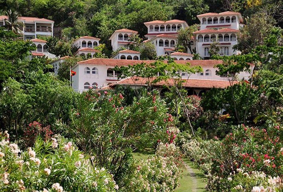 Mount Cinnamon gardens