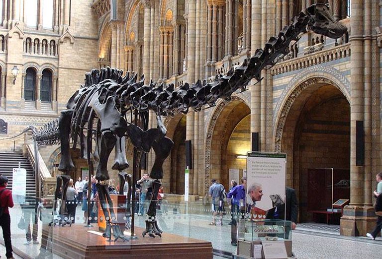 Dippy The Diplodocus