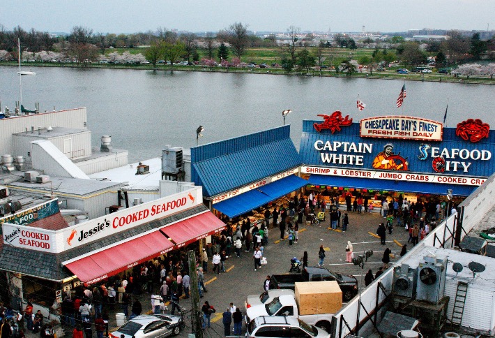 The D.C. Waterfront: At A Glance