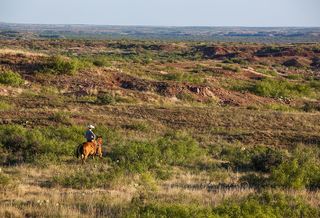 Waggoner Ranch Sells To LA Billionaire