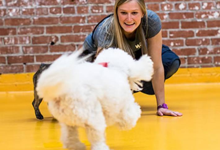  Bisnow Scoop: Pet Group Lands In Oakland