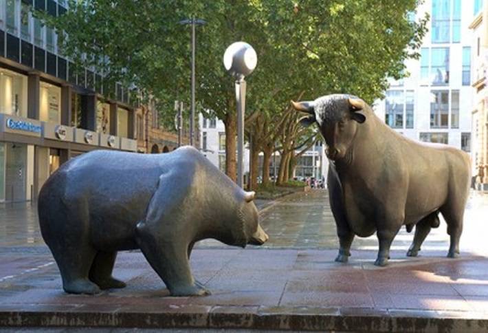 bear and bull