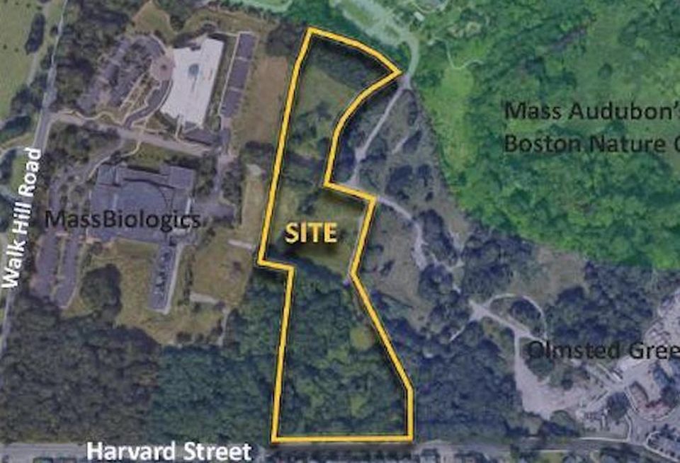 An aerial view of the Mattapan site where developers are proposing a new six-building residential project.