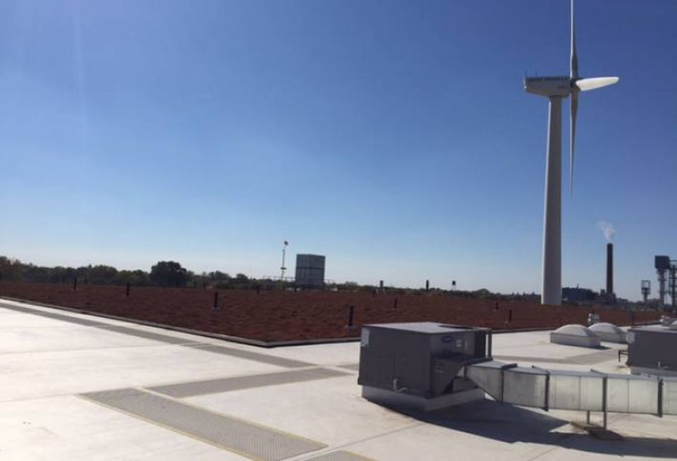The green rooftop at Testa Produce, Chicago