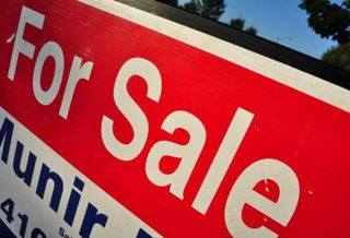 Market Reports: Five Things You Need to Know 