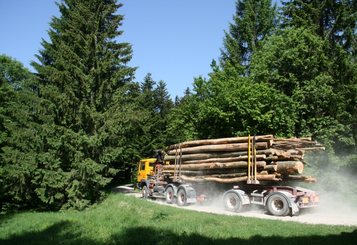 Logging