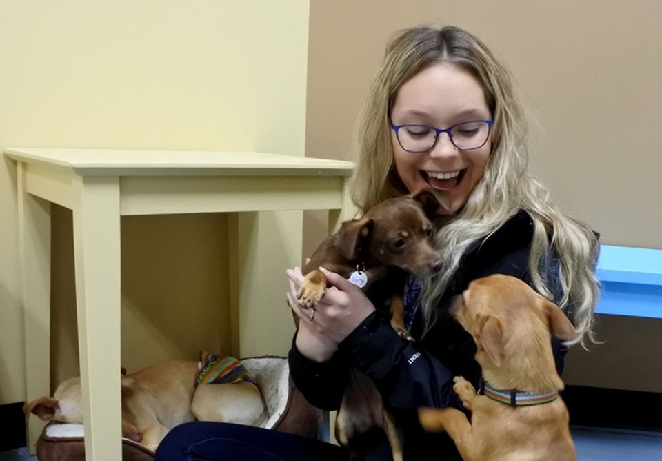 Dogs and admirer at Fido's