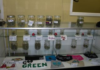 medical marijuana