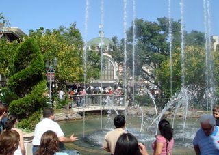 The Grove